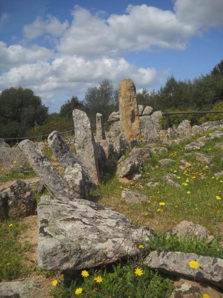 antiche pietre dalla Gallura...